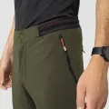 Dark olive 2