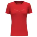 Tričko Salewa Pure Eagle Frame Dry T-Shirt Woman