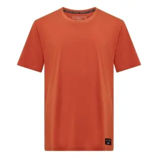 Tričko Salewa Eagle Logo Patch T-Shirt - Bombay brown