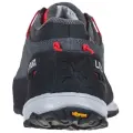 Carbon/Hibiscus 2