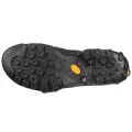 Carbon/kiwi 3