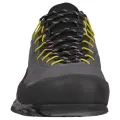 Carbon/kiwi 2