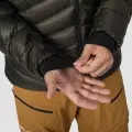 Dark olive 2