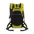 Golden lime/black 1