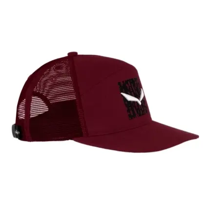 Šiltovka Salewa Pure Salamander Logo - Syrah