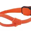 Orange 3