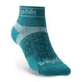 Teal 2