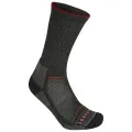 Ponožky Lorpen Merino Hiker 2 Pack eco