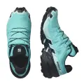 Blue Curacao/Black Iced/Aqua 2