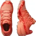 Emberglow Fusion Coral 1