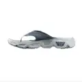 Blue Ashes/White Pearl 2