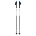 Palice Black Diamond Expedition 2 Pro