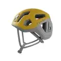 Yellow gold 1