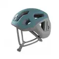 Spruce Blue 1