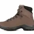 Brown1