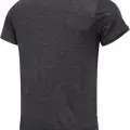 Antracite 1