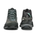 Shark/aqua 2
