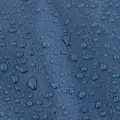 Blue 2