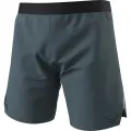 Nohavice Dynafit Alpine Shorts