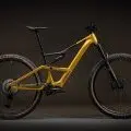 Bumblebee yellow /black 1