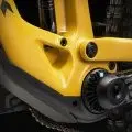 Bumblebee yellow /black 2