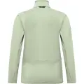Pastel Green 1