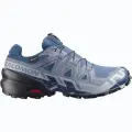 Obuv Salomon Speedcross 6 GTX - Spellbound/Black