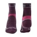 Damson 1